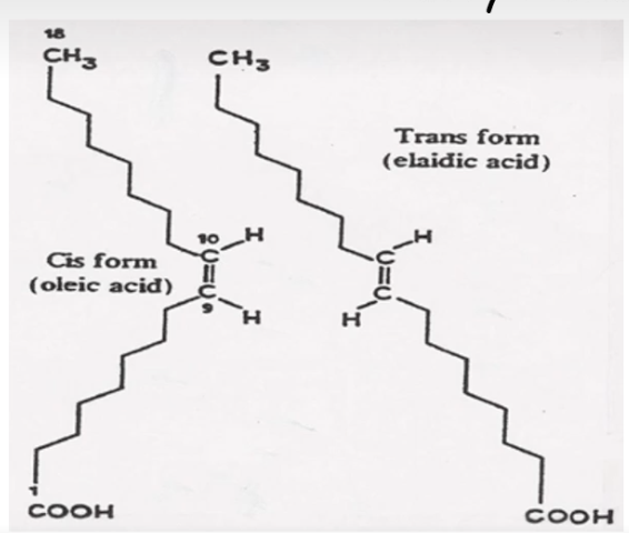 <ul><li><p>trans fatty acid is an unsaturated fatty acid and the trans part of the name refers to the structural formation of that particular fatty acid</p></li><li><p>Image: <br>   - two fatty acids, same carbon number, each monounsaturated fat at the same carbon<br>   - image shows they are slightly different molecules structurally<br>   - one is a cis fatty acid and one is a trans fatty acid</p></li></ul><p></p>