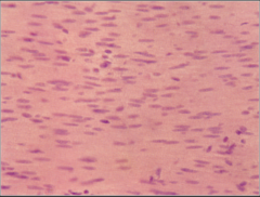 <p>What does this image show?</p>