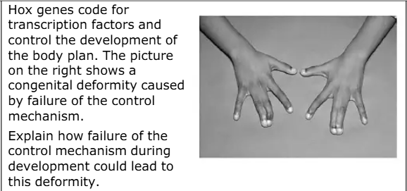 term image
