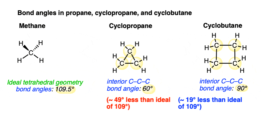 <p><strong>☆ why can cyclopropane and cyclobutane be strained?</strong></p>