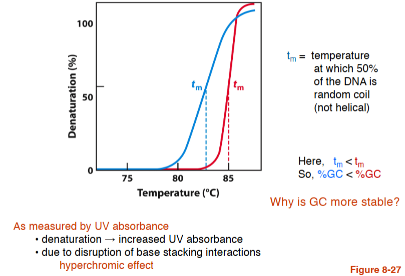 <p><span style="background-color: transparent;">High temperature or pH</span></p><p>tm increases linearly with number of GC bonds </p>