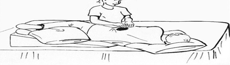 <p>what part of lungs is shaded in the image?</p>