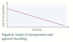 <p>lower humidity = faster the transpiration rate</p><p>If air around the leaf is dry, water potential gradient between the leaf and the air is steeper, which increases transpiration rate.</p>
