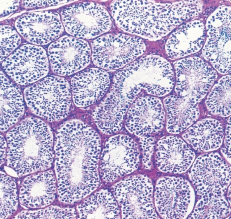 <p>What is this?</p>