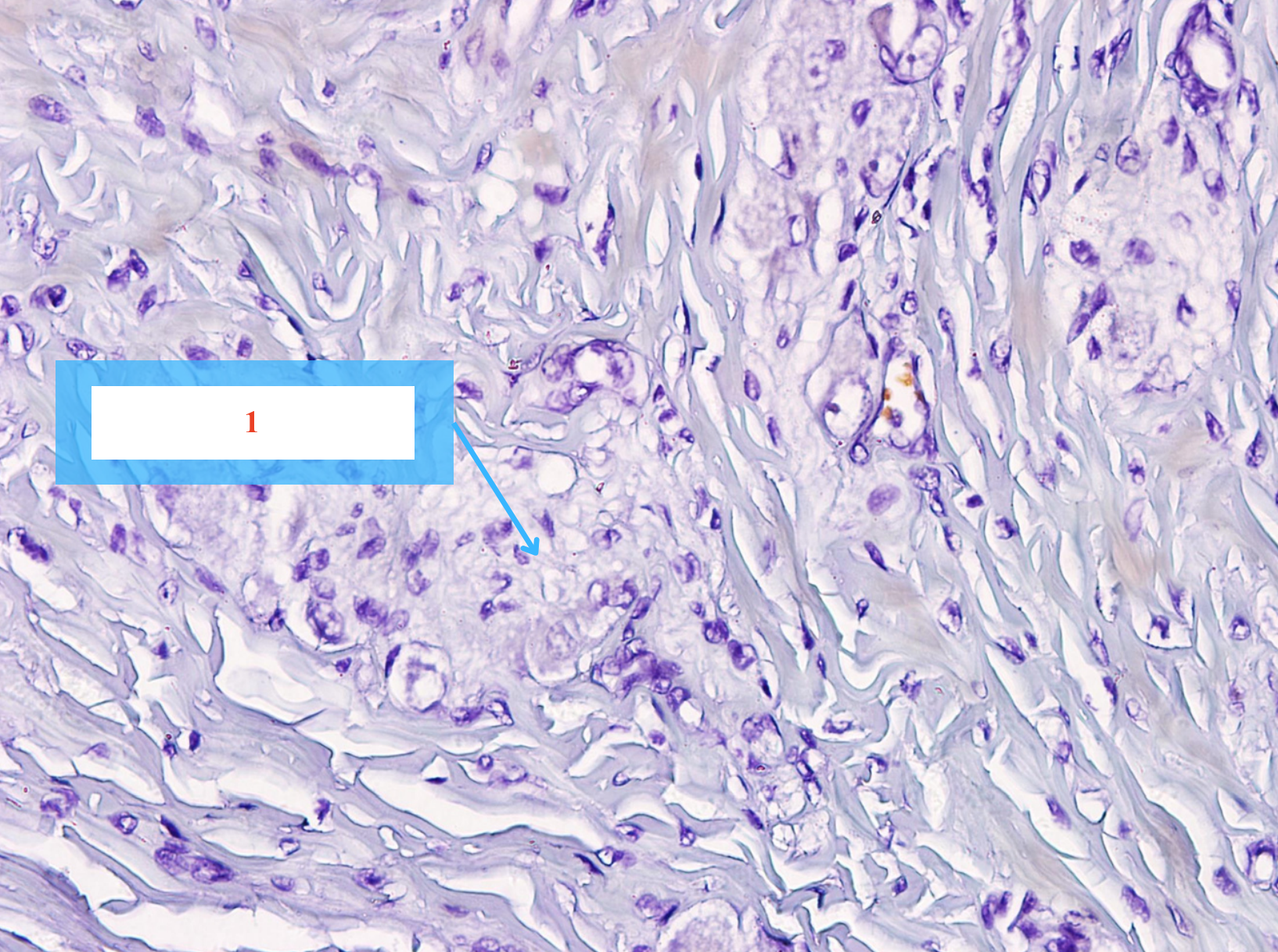 <p>Cấu trúc gì ?</p>