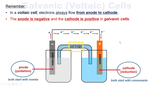 <p>anode</p>