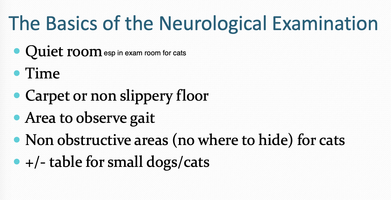 <p>- Quiet room</p><p>- Time (May be difficult to be thorough in a 30 min apt slot)</p><p>- Carpet or non slippery floor</p><p>- Area to observe gait</p><p>- Non obstructive areas (no where to hide) for cats</p><p>- +/- table for small dogs/cats</p>