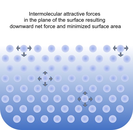 <p>should be stable for a storage period, possess a neutral odor, and low surface tension to allow for penetration into crack </p>