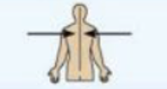 <p>toward or at the midline of the body; on the inner side of </p>