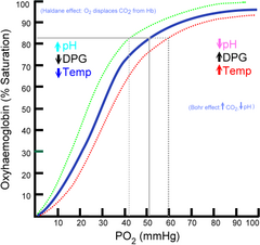 <p>left</p><p>(higher hemoglobin affinity for O2 - hemoglobin wants to hold onto O2 more tightly)</p>