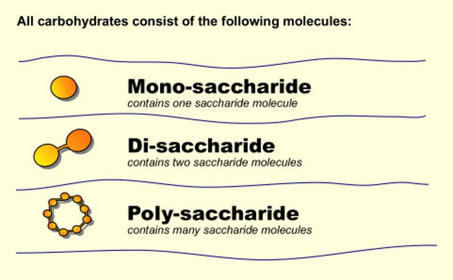 <p>A type of biomolecule made of carbon, hydrogen, oxygen</p><p>1. MONOMER - monosaccharide, glucose, fructose</p><p>2. DIMER - disaccharide, maltose, sucrose</p><p>3. POLYMER - polysaccharide, glycogen, starch, cellulose</p>