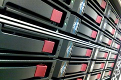 <p>the retention of encoded information over time</p>