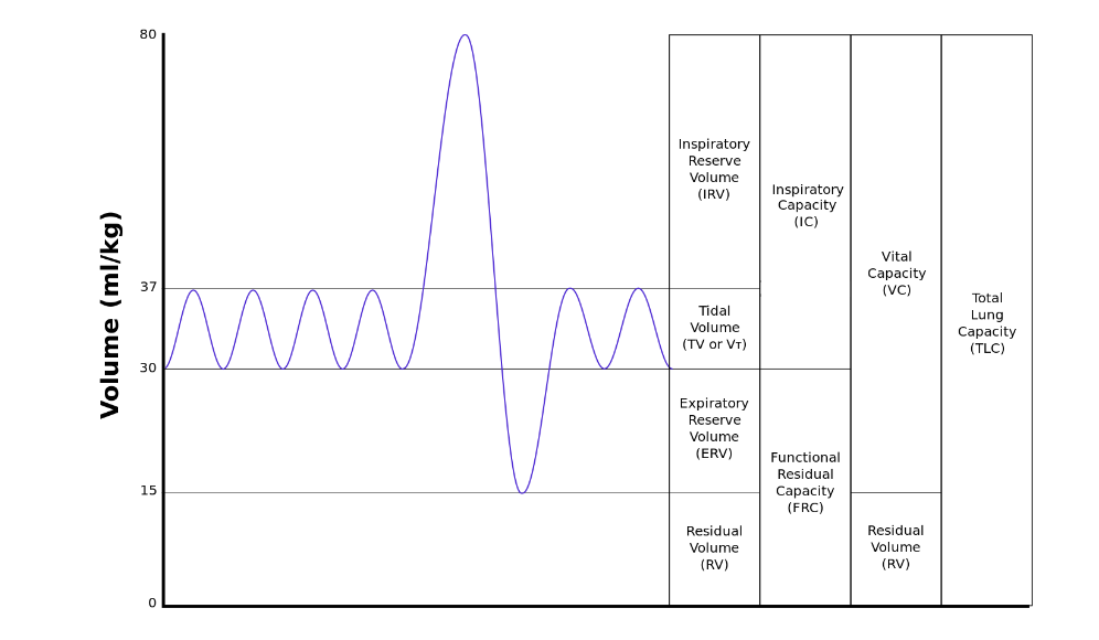 <p>Amount of air left in the lungs after forceful expiration (beyond ERV)</p>