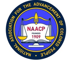 <p>National Association for the Advancement of Colored People, founded to abolish segregation and discrimination, to oppose racism and to gain civil rights for African Americans. Worked with the courts, had a legal defense fund, peaceful marches, and political work.</p>