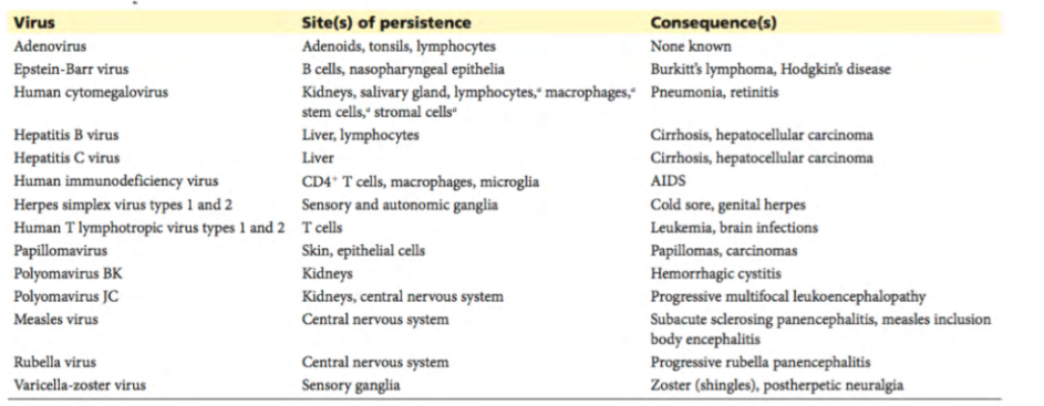 <p>Persistent Human Infections Examples</p>