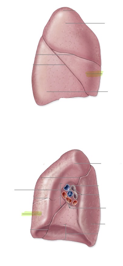 <p>what is this </p>