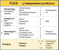 <p>1. morphology</p><p>2. integrity of PLC</p><p>3. Neurologic status</p><p>helps to stratify injury and support decision making in spine injured patients</p><p>>4 = surgery</p>