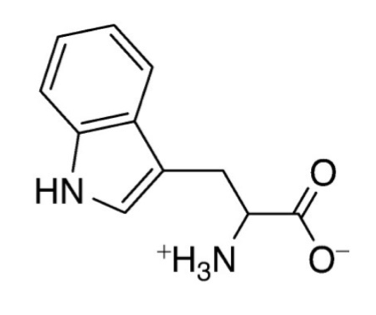 <p>Which amino acid is represented by the following structure? </p>