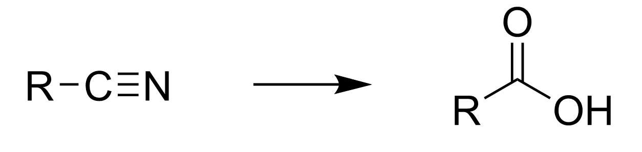 <p></p>