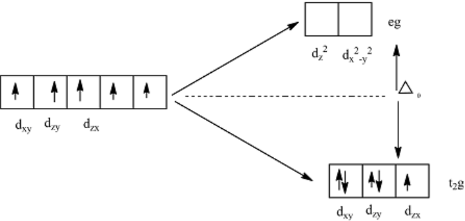 <ul><li><p>t₂g (lav energi)</p></li><li><p>e_g (høy energi)</p></li></ul><p></p>