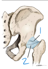 <p>2</p>