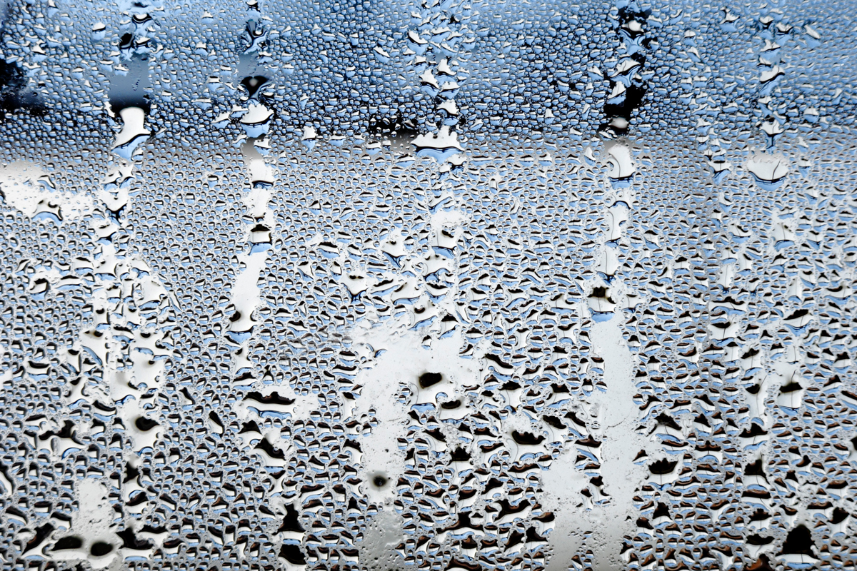 <p>humid</p>