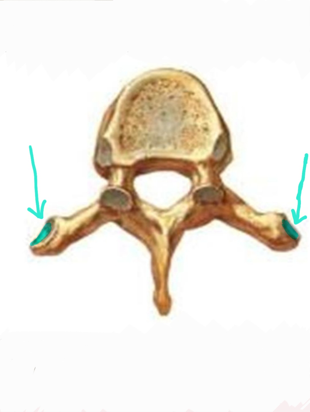 <p>Qual é o nome?</p>