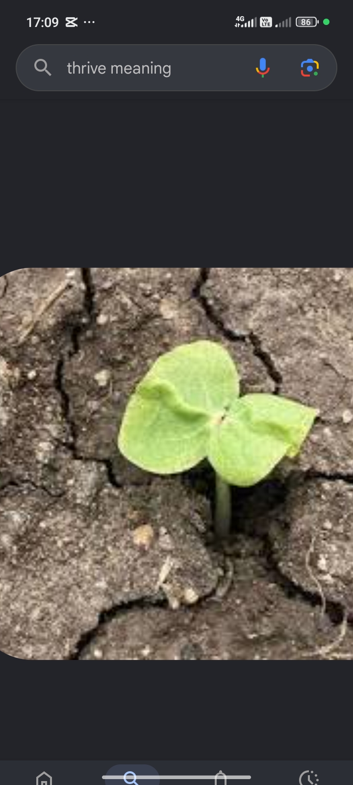 <p>Өсіп гүлдену </p><p class="has-focus">Thrive in the wild</p>
