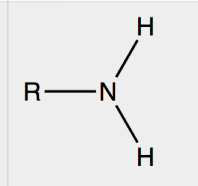 <p>(CARB) What is the name and what are the characteristics of this functional group?</p>