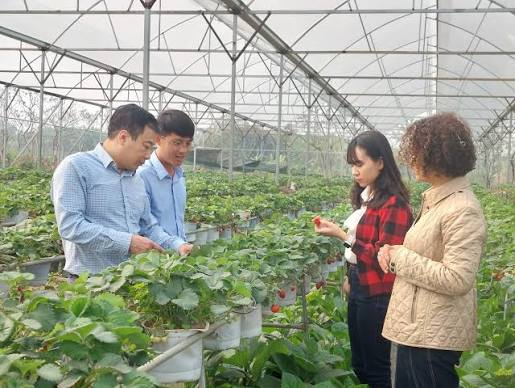 <p>nền nông nghiệp tập thể hóa / việc hợp tác hóa nông nghiệp</p>