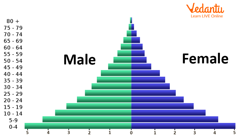<ul><li><p>age and gender structure</p></li></ul><p></p>