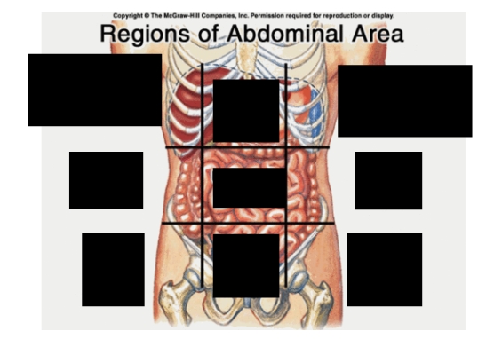 <p>What are the nine abdominal regions?</p>