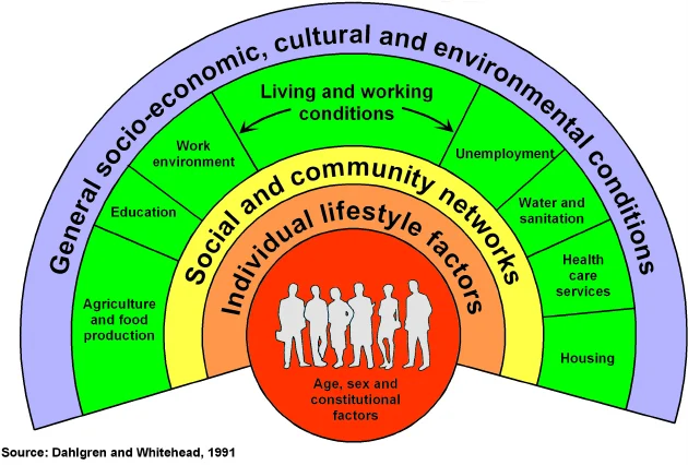 <p>Shows how different levels influence health & behaviour:</p><ul><li><p class="x1yc453h xma8rkl xgoqxah xutxfr x1fie51u xgyxj25 x1xobyvs x1elgs31 x1fv8qjw xcy5tzr x1ht4adc xnvauns x1c2l018 x14l7nz5 xuw7688 x1pjt2rx x160d6zm xrxpjvj"><strong>individual</strong> - knowledge, beliefs, genetics</p></li><li><p class="x1yc453h xma8rkl xgoqxah xutxfr x1fie51u xgyxj25 x1xobyvs x1elgs31 x1fv8qjw xcy5tzr x1ht4adc xnvauns x1c2l018 x14l7nz5 xuw7688 x1pjt2rx x160d6zm xrxpjvj"><strong>interpersonal</strong> - family & friends</p></li><li><p class="x1yc453h xma8rkl xgoqxah xutxfr x1fie51u xgyxj25 x1xobyvs x1elgs31 x1fv8qjw xcy5tzr x1ht4adc xnvauns x1c2l018 x14l7nz5 xuw7688 x1pjt2rx x160d6zm xrxpjvj"><strong>community</strong> - schools, workplaces, neighbourhoods</p></li><li><p class="x1yc453h xma8rkl xgoqxah xutxfr x1fie51u xgyxj25 x1xobyvs x1elgs31 x1fv8qjw xcy5tzr x1ht4adc xnvauns x1c2l018 x14l7nz5 xuw7688 x1pjt2rx x160d6zm xrxpjvj"><strong>societal</strong> - policies, culture, economy</p></li></ul><p class="x1yc453h xma8rkl xgoqxah xutxfr x1fie51u xgyxj25 x1xobyvs x1elgs31 x1fv8qjw xcy5tzr x1ht4adc xnvauns x1c2l018 x14l7nz5 xuw7688 x1pjt2rx x160d6zm xrxpjvj"><strong>Key idea:</strong> health is shaped by both individual & wider social/environmental factors</p>