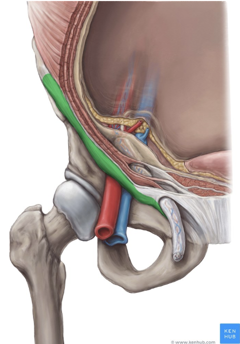 <p><span style="line-height: 17px;">Herkenningspunten myologie buik</span><span style="line-height: 17px; background-color: var(--clrSelection,#c6c6c6) !important;">&nbsp;</span></p><p class="Paragraph SCXW126334727 BCX4" style="text-align: left;"><span style="line-height: 17px; background-color: var(--clrSelection,#c6c6c6) !important;">&nbsp;</span></p><p class="Paragraph SCXW126334727 BCX4" style="text-align: left;"></p>