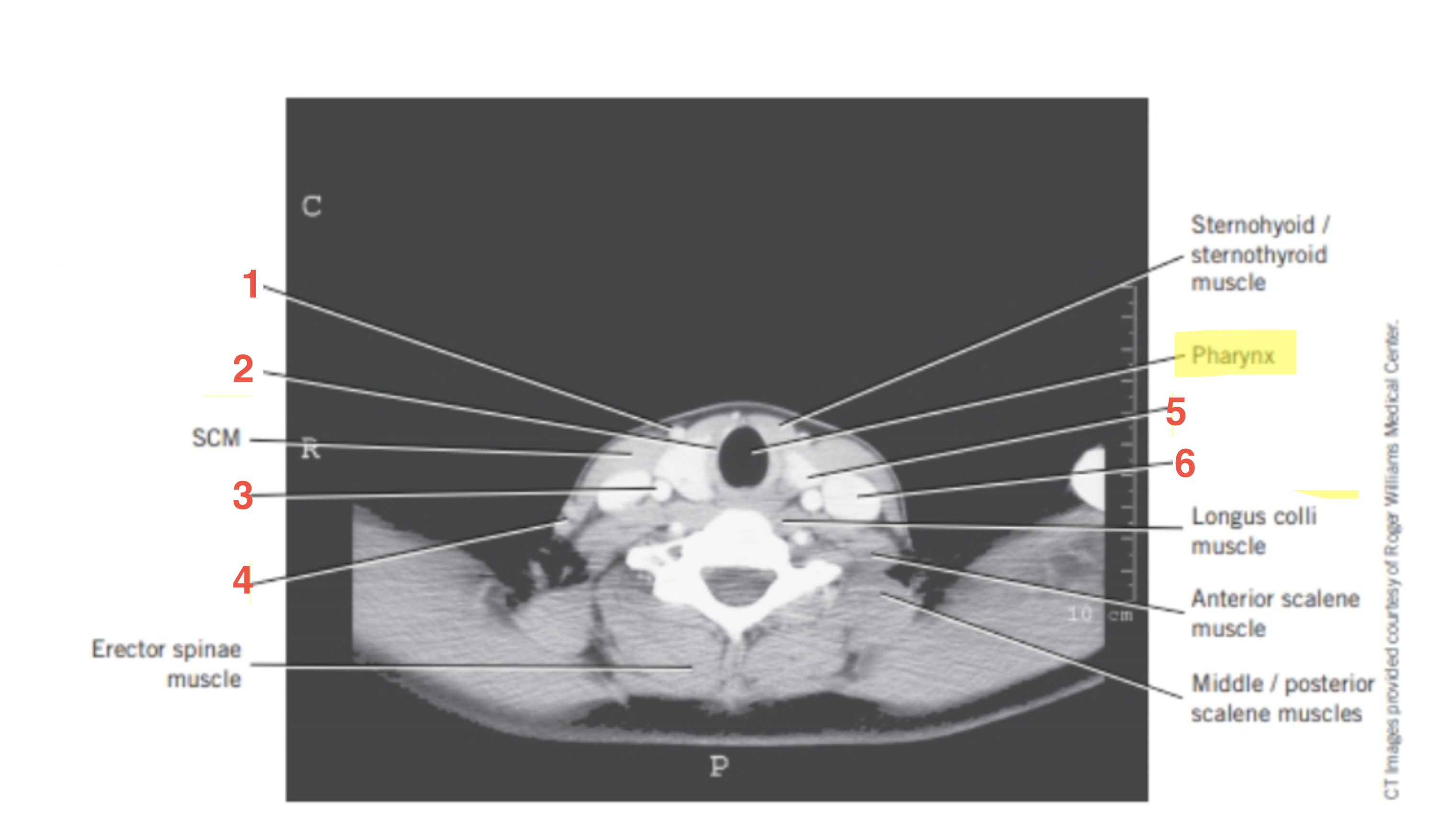 <p>4</p>