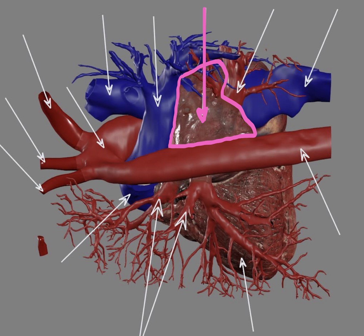 <p>What’s the highlighted area?</p>