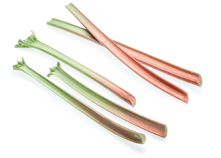 <p>Rhubarb / Ruibarbo</p>