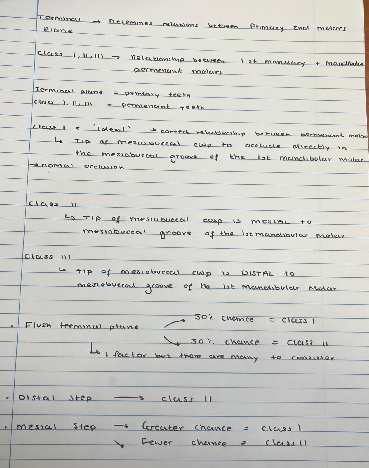 <p>MOLAR RELATIONSHIP - IN EXAM</p><p>read </p>