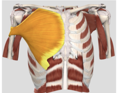 knowt flashcard image