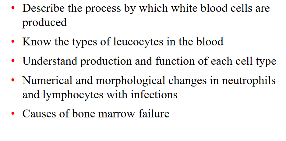 <p>Learning Outcomes</p>