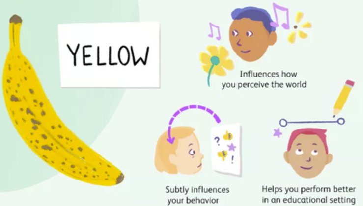 <p>Priming (as a type of implicit memory)</p>