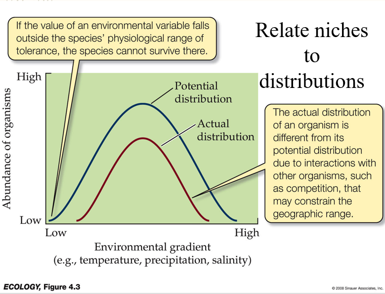 <p>Grinnell’s (1917) definition - Role of the organisms in the community</p><p>Hutchinson (1957) - tolerance range for environmental variation </p><p>Fundamental niche- activity range for all tolerance variables</p><p>Realized Niche- includes biotic factors</p>