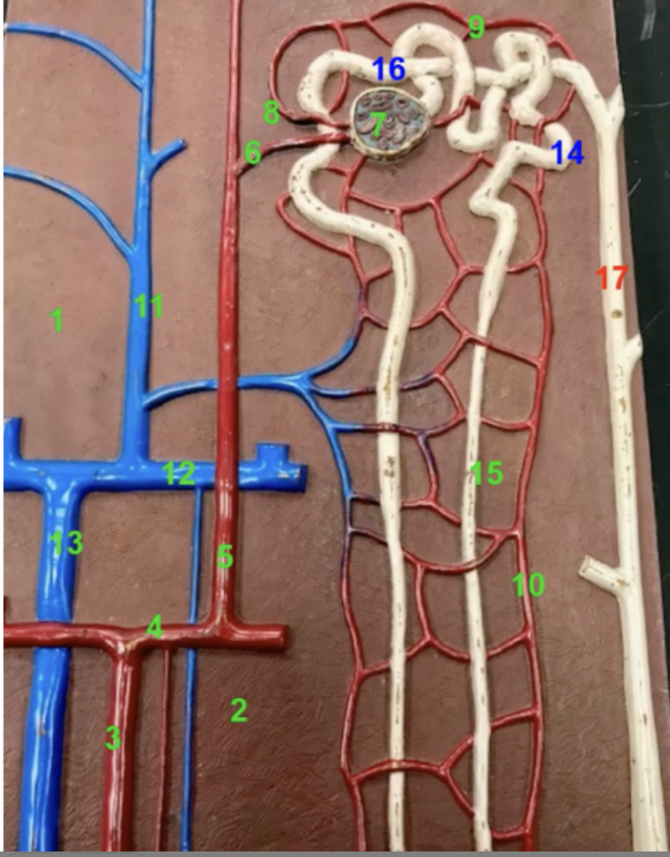 <p>why is 9 named what it is </p>