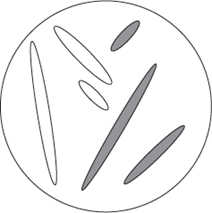 <p><span style="font-family: Arial, sans-serif; line-height: 107%;"><strong>Figure 2</strong> shows three pairs of homologous chromosomes in a cell at the end of cell division.</span></p><p><span style="font-family: Arial, sans-serif; line-height: 107%;">The appearance of each chromosome in <strong>Figure 2</strong> is different from those shown in <strong>Figure 1.</strong> Explain why. (1)</span></p>