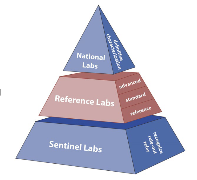 <p>national labs</p><p>reference labs</p><p>sentinel labs</p>