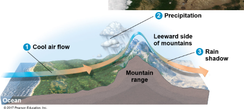 Atmosphere/pressure rises with mountains inward of land (rainy) then past mountains it gets drier. The air rises, gets cold, rains (windward side), by the time it gets to the other side of the mountains the air’s dry (Leeward side). Creating a rain shadow effect.