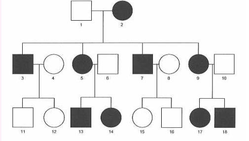 <p>female gametes in animals and plants contain the majority of cellular component inherited by the zygote</p><ul><li><p>this is because male gametes are are small and only contain nucleus &amp; cytoplasm </p></li></ul><p></p>
