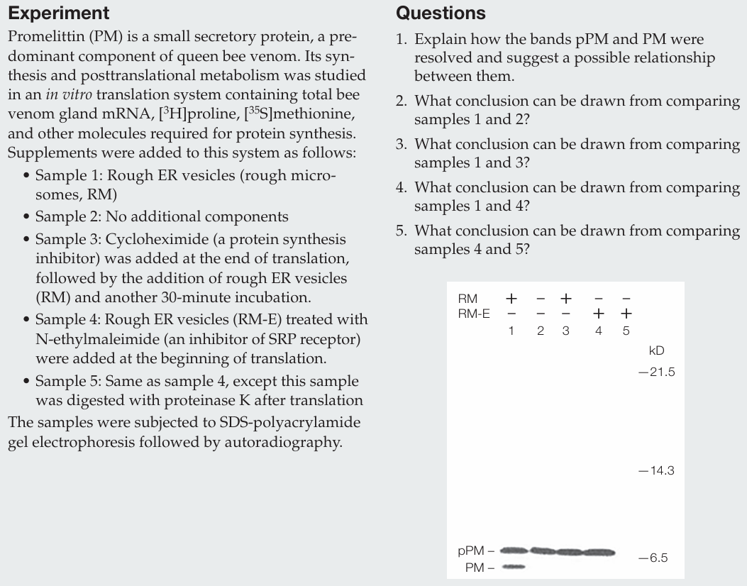 <p>What conclusion can be drawn from comparing samples 1 and 3?</p>