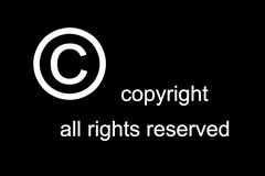 <p>intangible creative work that has copyrights</p>