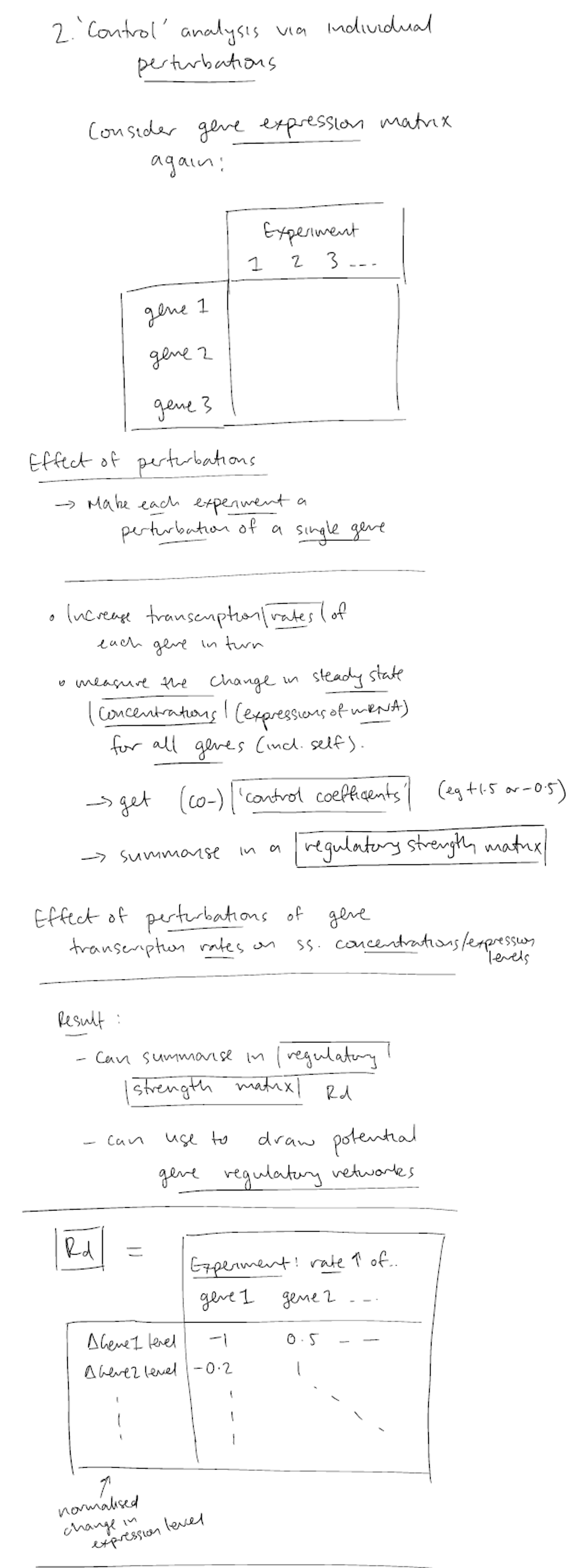 <ul><li><p><strong>Core Concept:</strong> Evaluates regulatory networks by modifying (perturbing) the steady-state transcription rate of a single gene and tracking how other genes respond.</p></li><li><p><strong>Output Formats:</strong> Results are mapped to either a <strong>network diagram</strong> or a <strong>regulatory strength matrix</strong>.</p></li><li><p><strong>Regulatory Strength Matrix Structure:</strong></p><ul><li><p><strong>Rows (Dependent Variables):</strong> Represent the gene expression levels of target genes responding to the change.</p></li><li><p><strong>Columns (Independent Variables):</strong> Represent the specific gene that was perturbed (via an increase or decrease in transcription).</p></li></ul></li></ul><p></p>